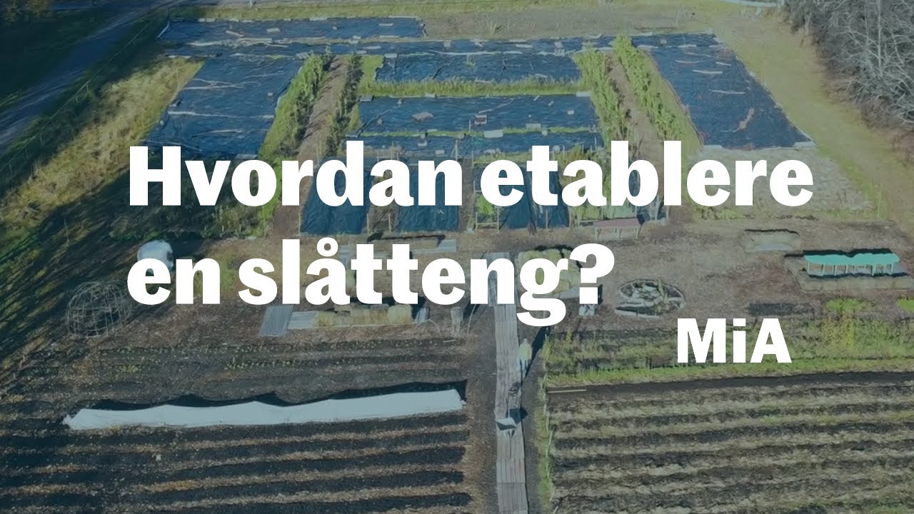 Slåtteng på tre måter