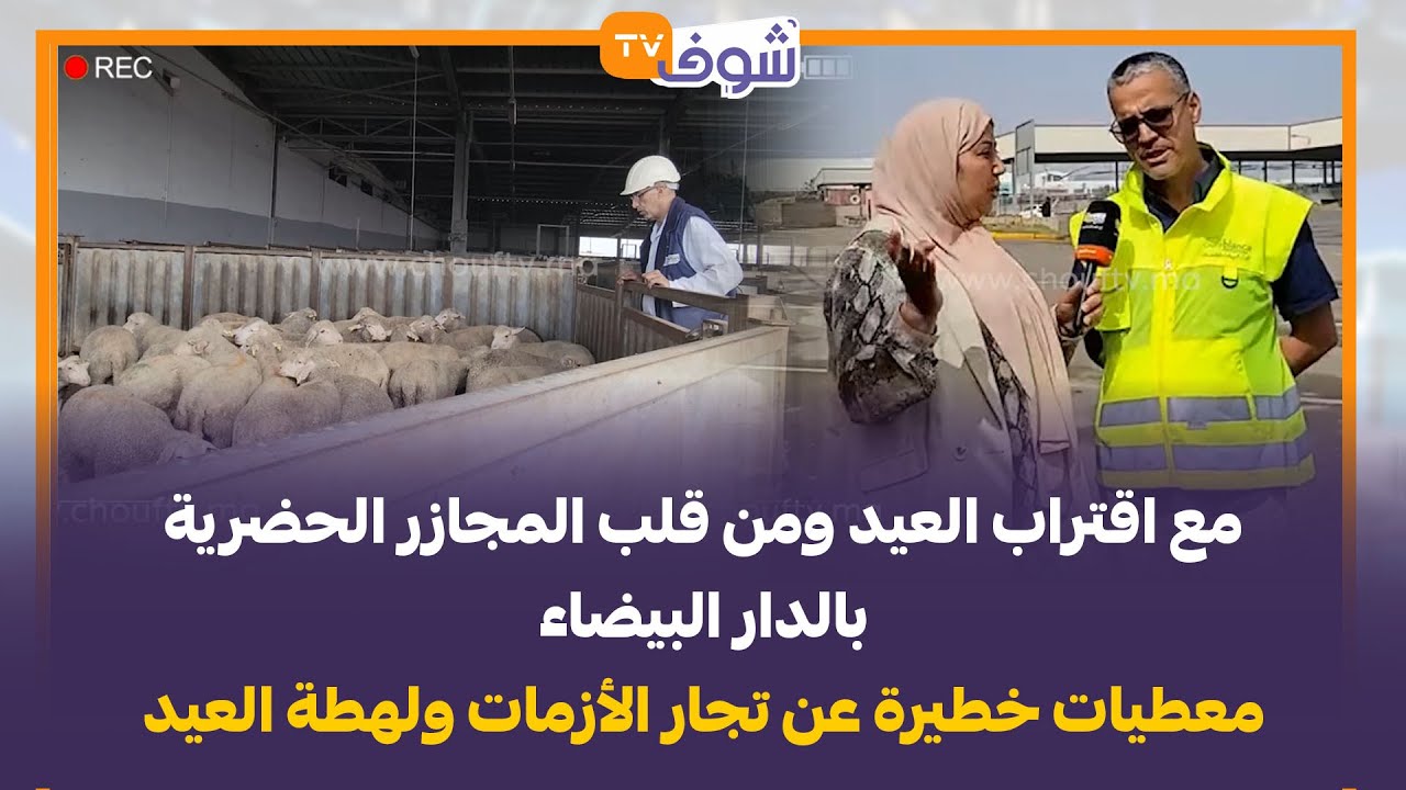 مع اقتراب العيد ومن قلب المجازر الحضرية بالدار البيضاء معطيات خطيرة عن تجار الأزمات ولهطة العيد