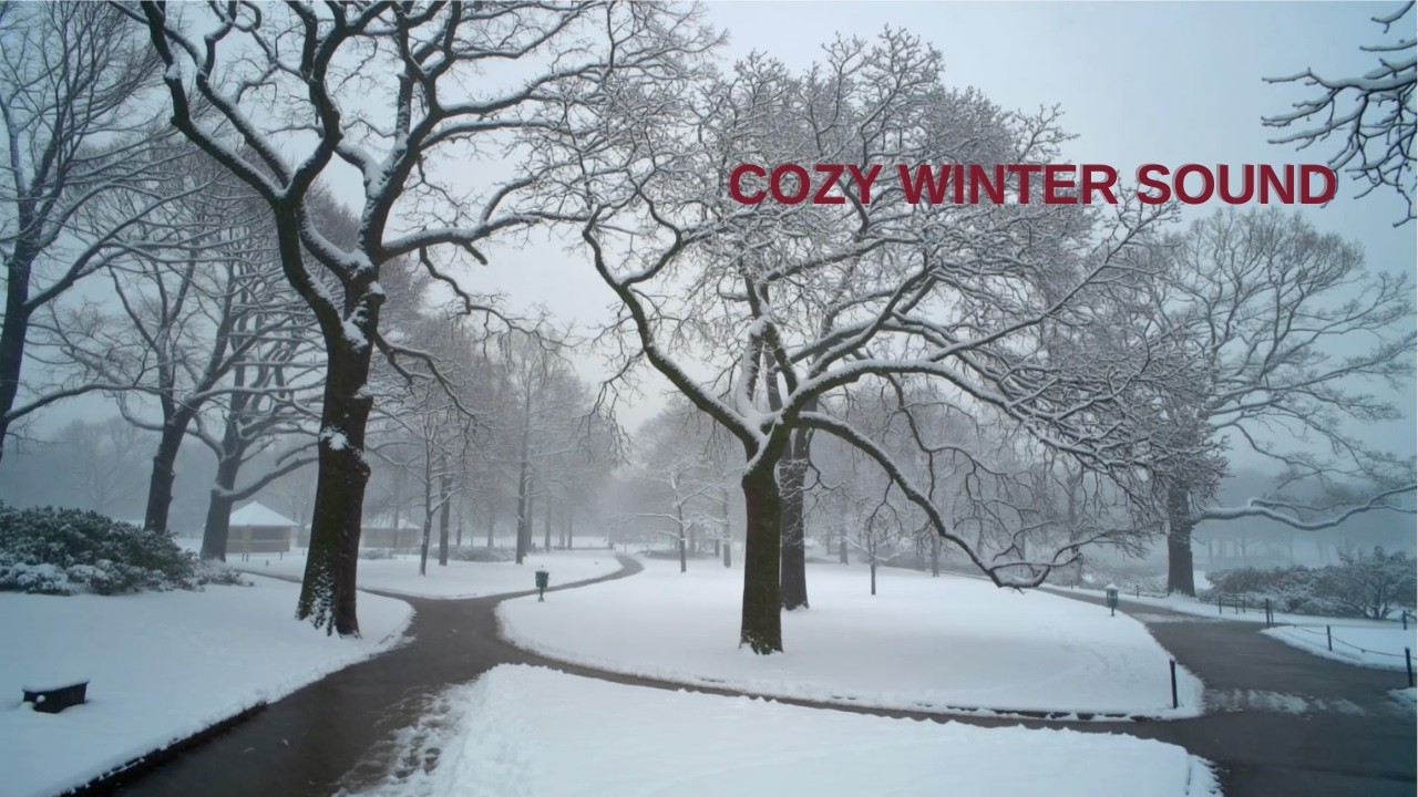 1 Hour Spanish Chill Guitar – Snowy Winter Central Park Ambience | Relaxing Lounge Music 4K