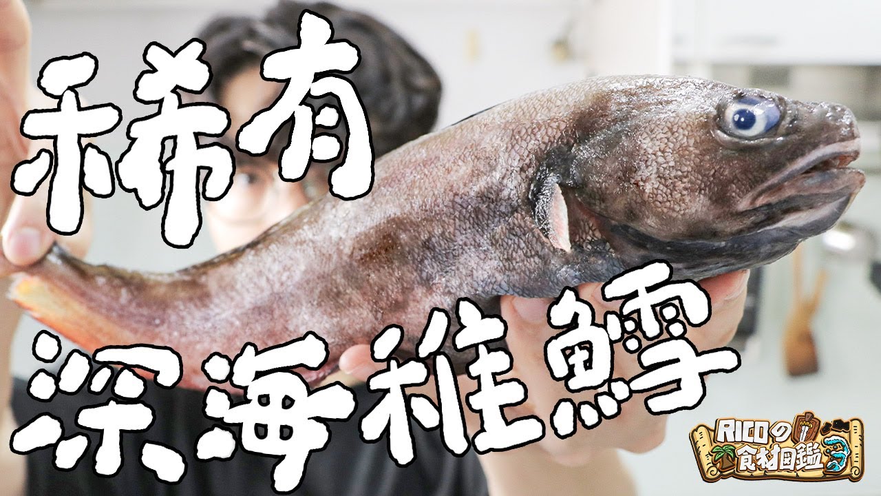難得一見 ! 你沒吃過的超稀有深海稚鱈 ｜RICOの食材圖鑑