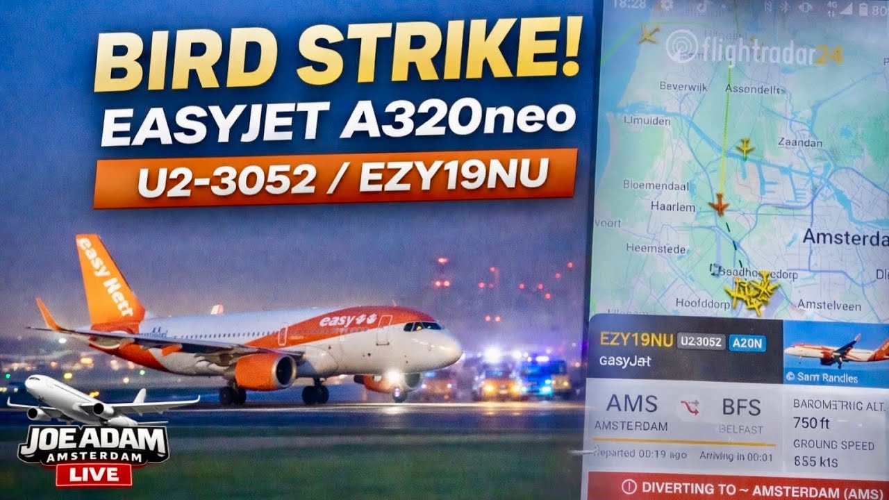 BREAKING NEWS: easyJet Emergency Landing After Bird Strike | A320neo — Captured LIVE