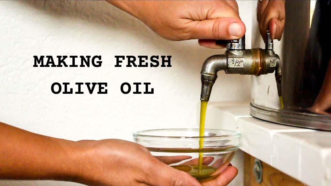 Making Our OWN OLIVE OIL