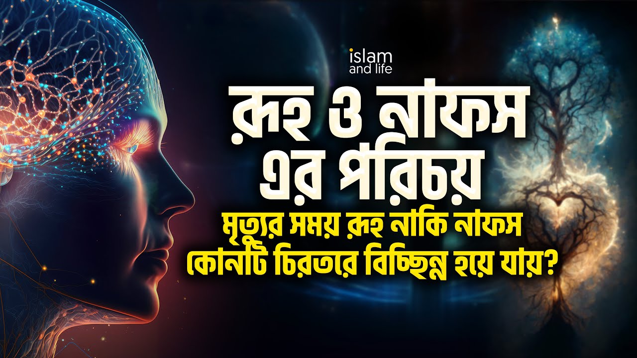 মৃত্যুর সময় রূহ নাকি নাফস কোনটি চিরতরে বিচ্ছিন্ন হয়ে যায়? রূহ ও নাফস এর পরিচয় || Islam and Life