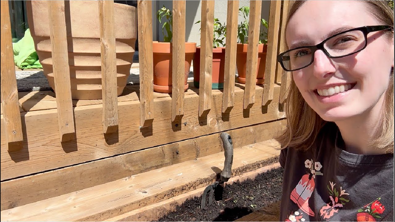 Growing my own "chaos" wildflower garden!!