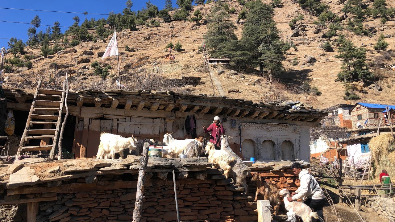 The village and last caste of the last epicenter of Nepal's Himalayan region suffering lifestyle ||