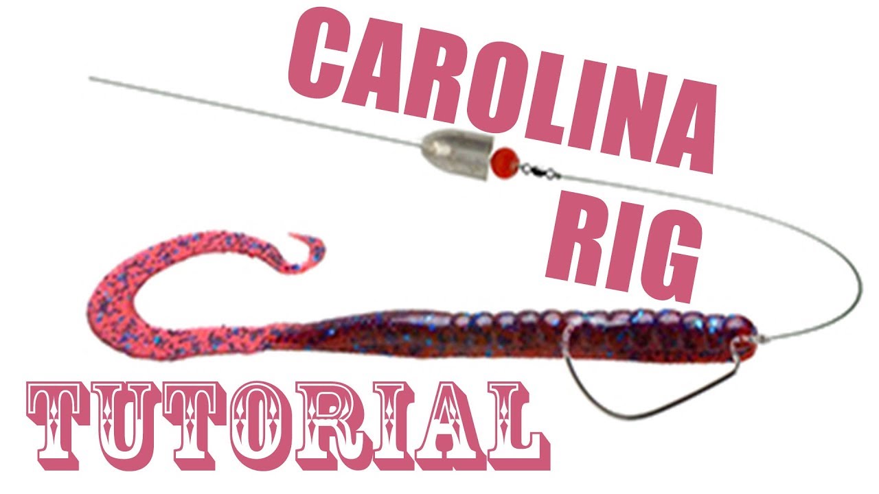 Das Carolina Rig - wie binde ich das Carolina Rig. Eine Anleitung. Optimal für Barsch & Zander!