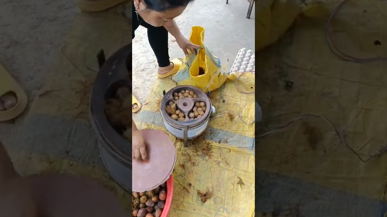 Arecanut Husking Machine. Made in Aizaw, Mizoram