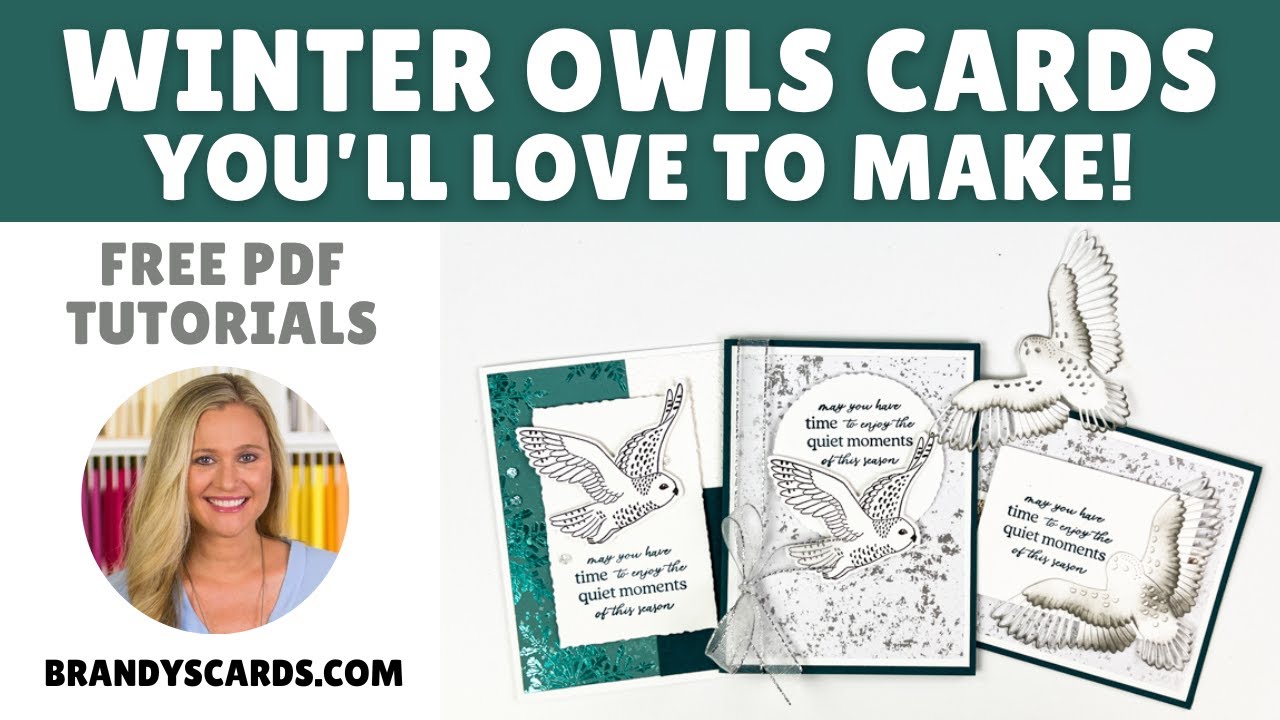 Winter Owl Cards You'll Love to Make!  Give them a Try!