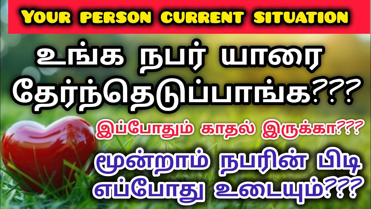 Your person current situation|Suji|Tarotreading|Powerofmindloa 