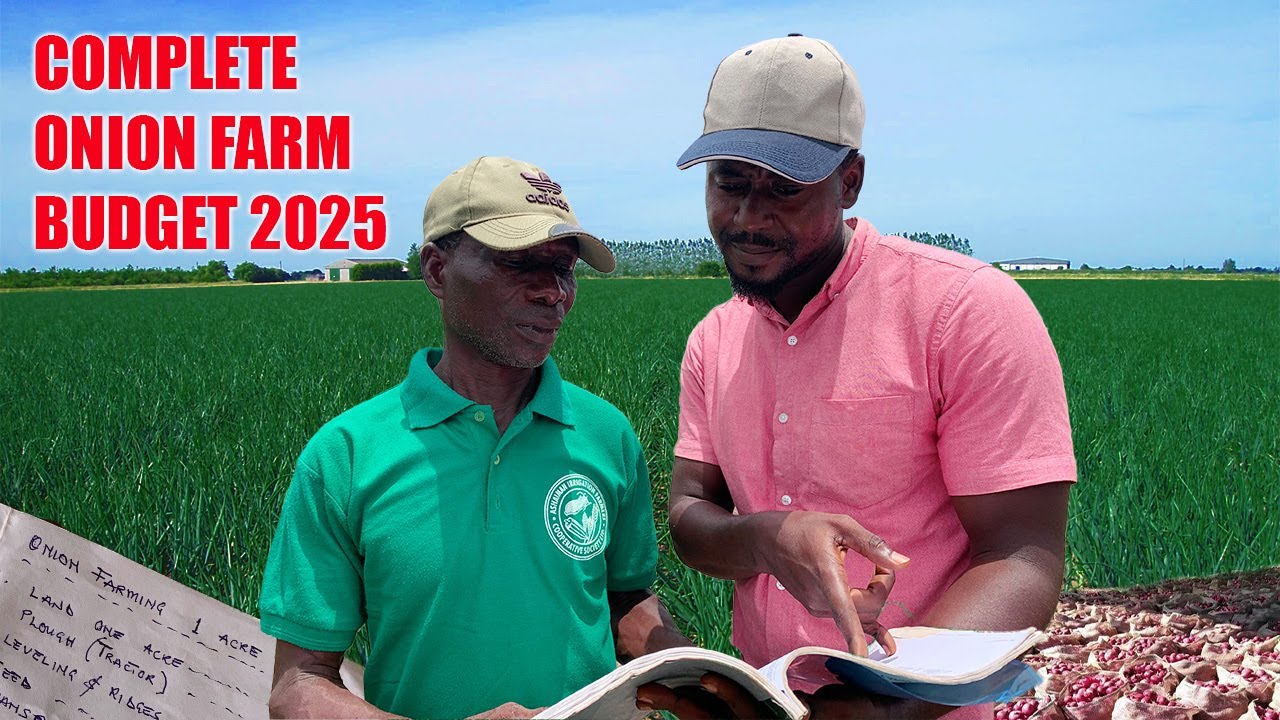 Onion farming BUDGET per Acre || COMPLETE budget, CAPITAL and PROFIT on an acre of ONION FARM 2025