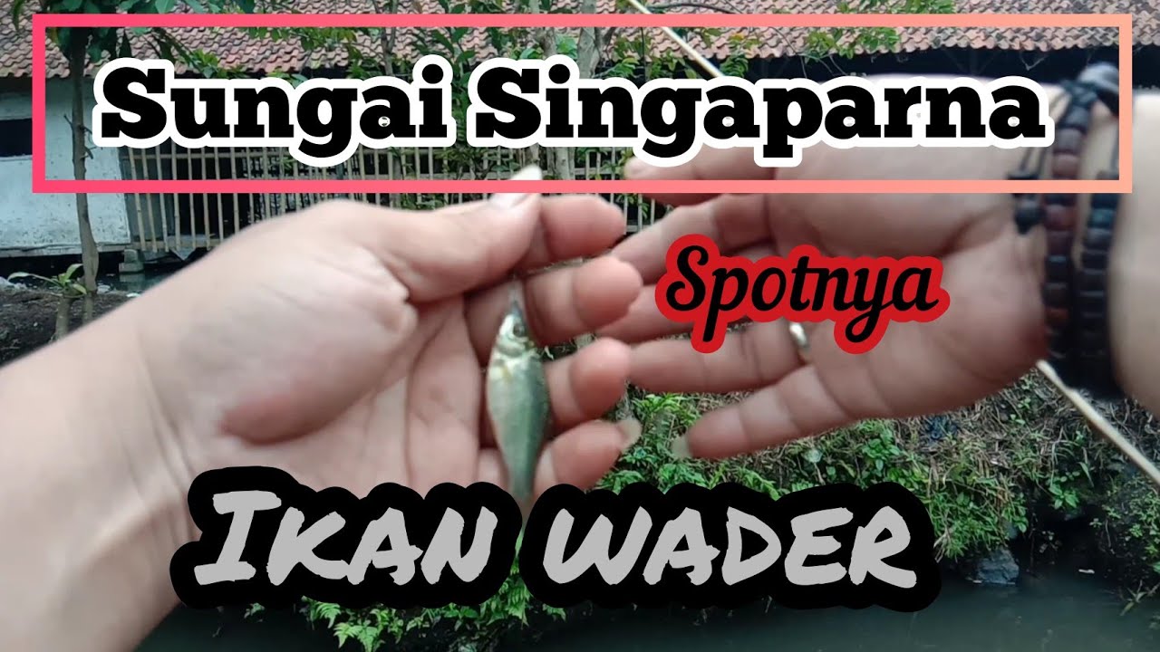 Spot Mancing wader Liar di SINGAPARNA