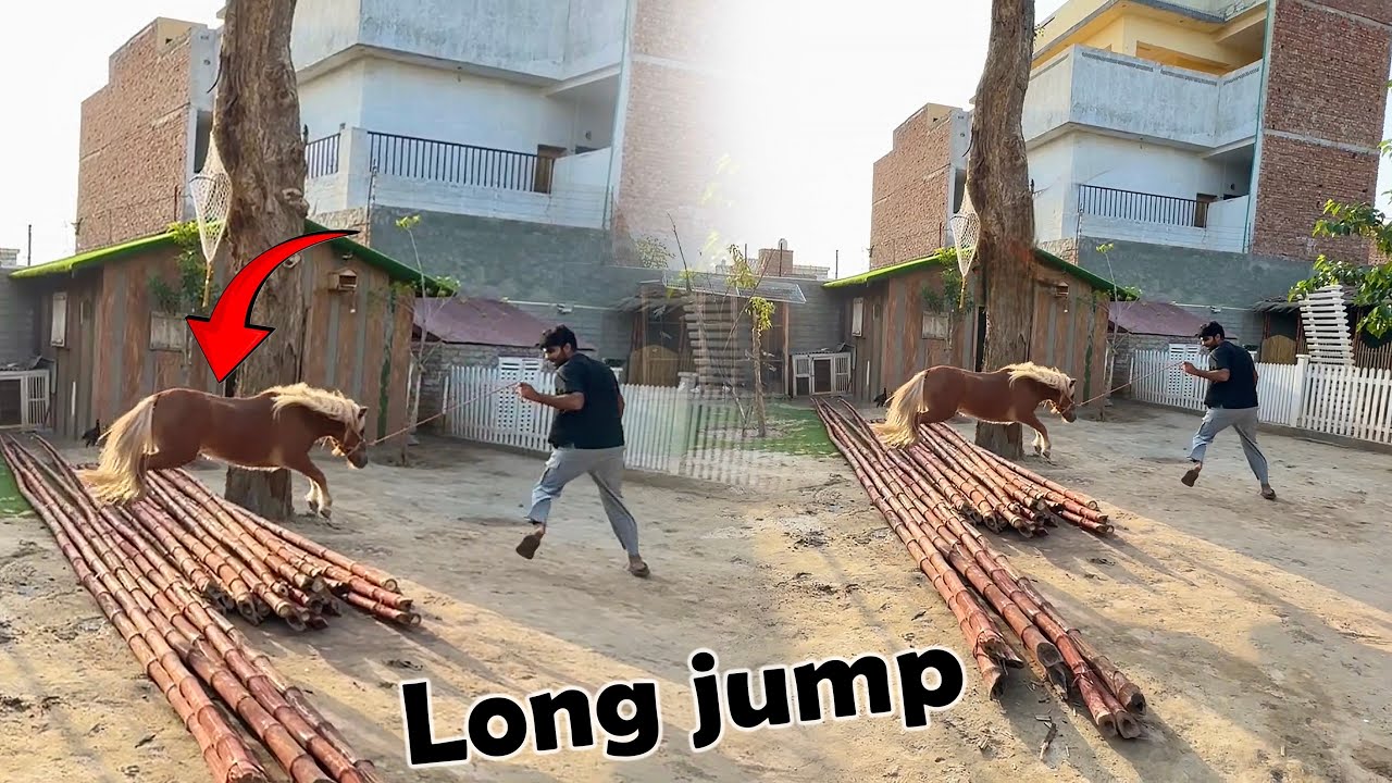 Cassie Long Jumps Expert Nikli 😆 waoo 