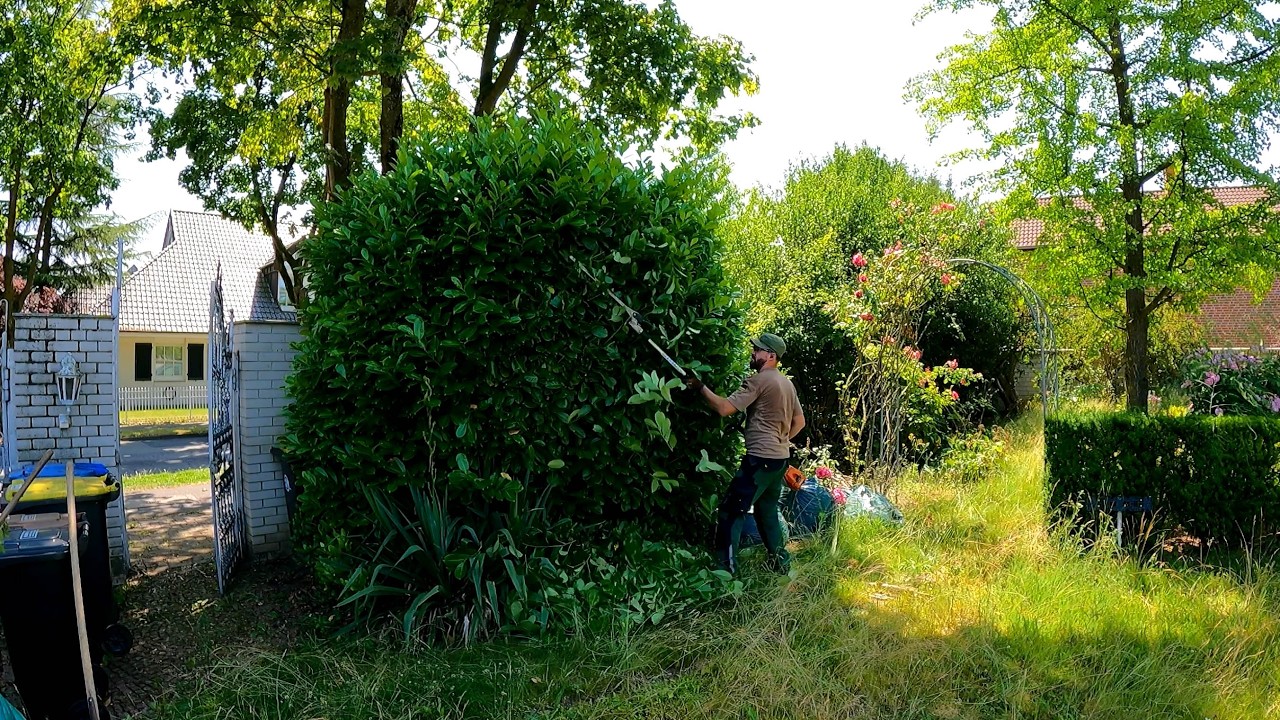 The New Owners NEEDED MY HELP to make this Yard look Great Again