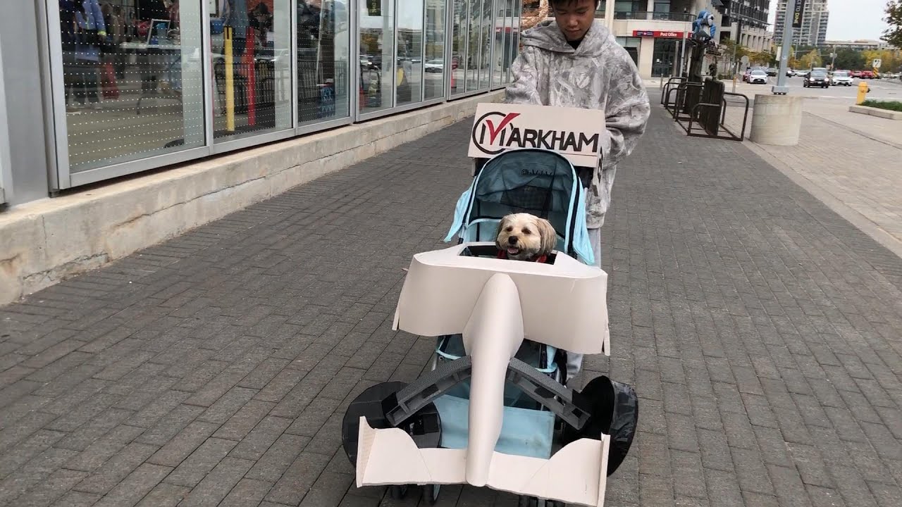Sesame the Morkie visit Halloween Howl 4.0 dog event in Markham driving Indycar
