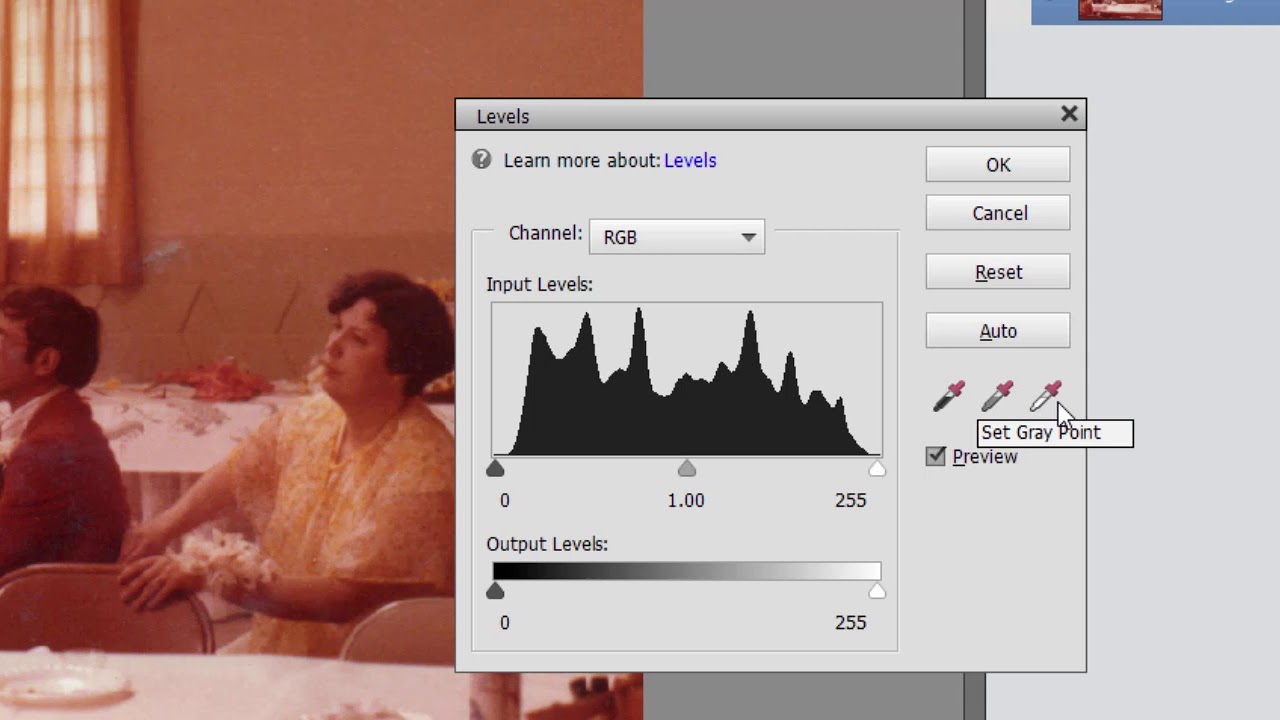 Color Correction tricks with Photoshop Elements