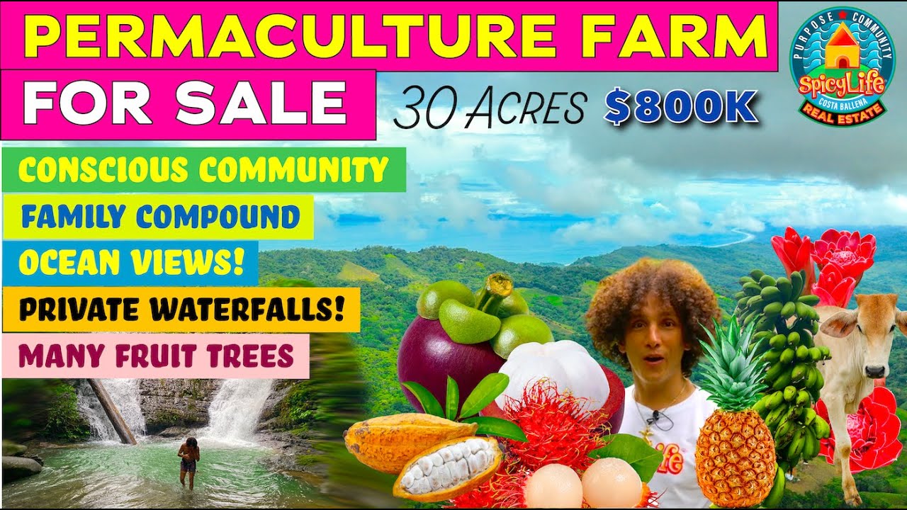 PERMACULTURE 👨‍🌾 FARM FOR SALE COSTA RICA 🇨🇷 OCEAN VIEW PRIVATE WATERFALLS 💦 3 BEDROOM HOME 🏡