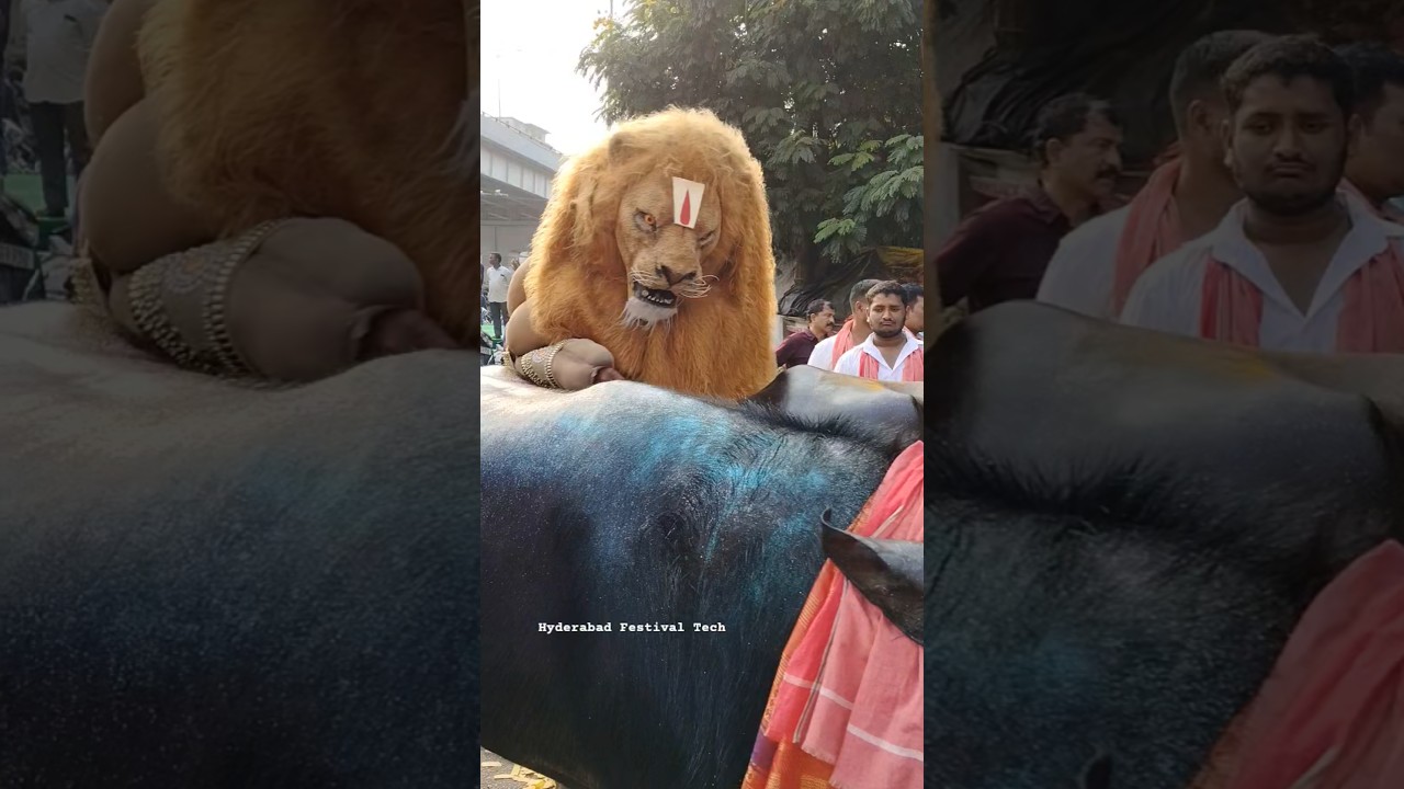 Sadar Festival In Hyderabad 2025 #sadar #sadarfestival #yadav