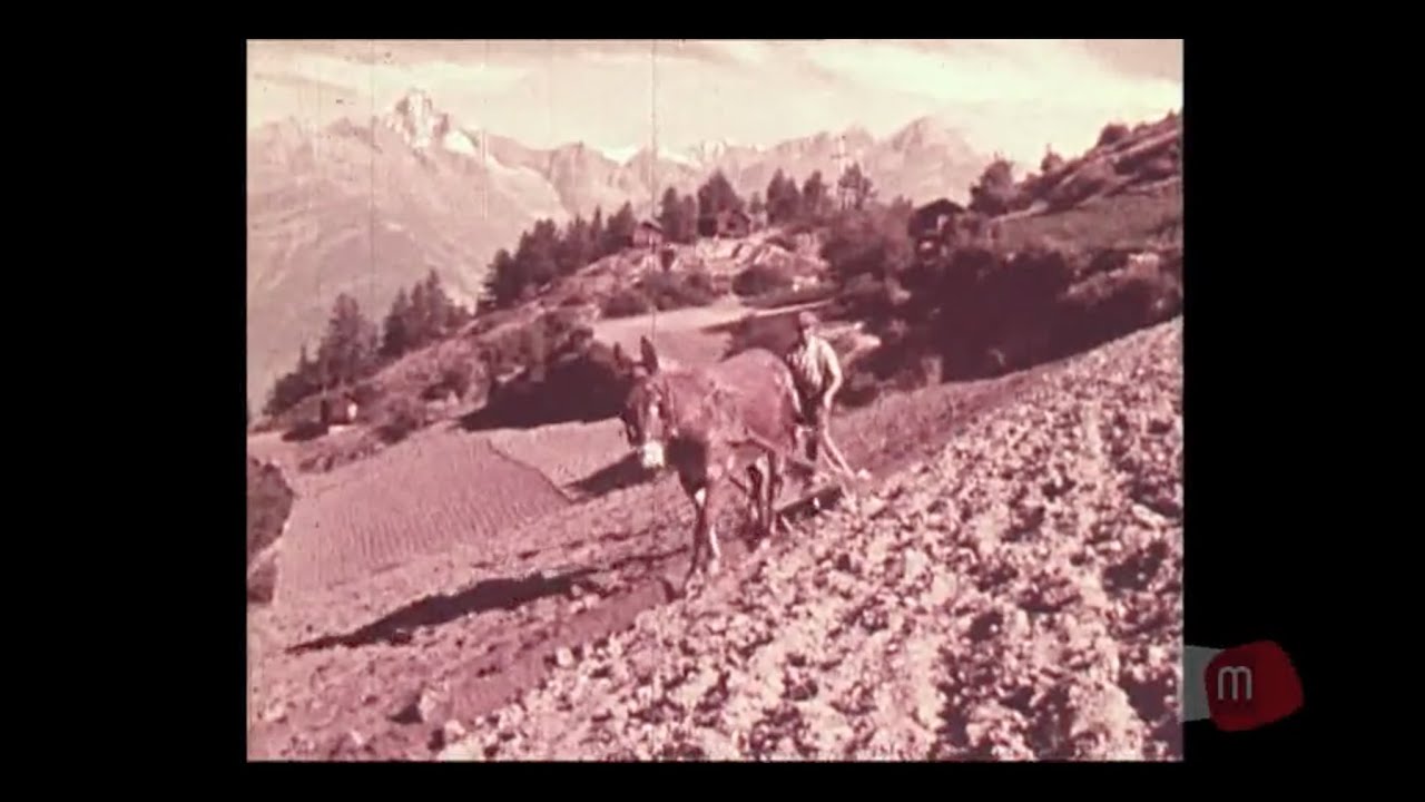 The Valais - Bread and Wine