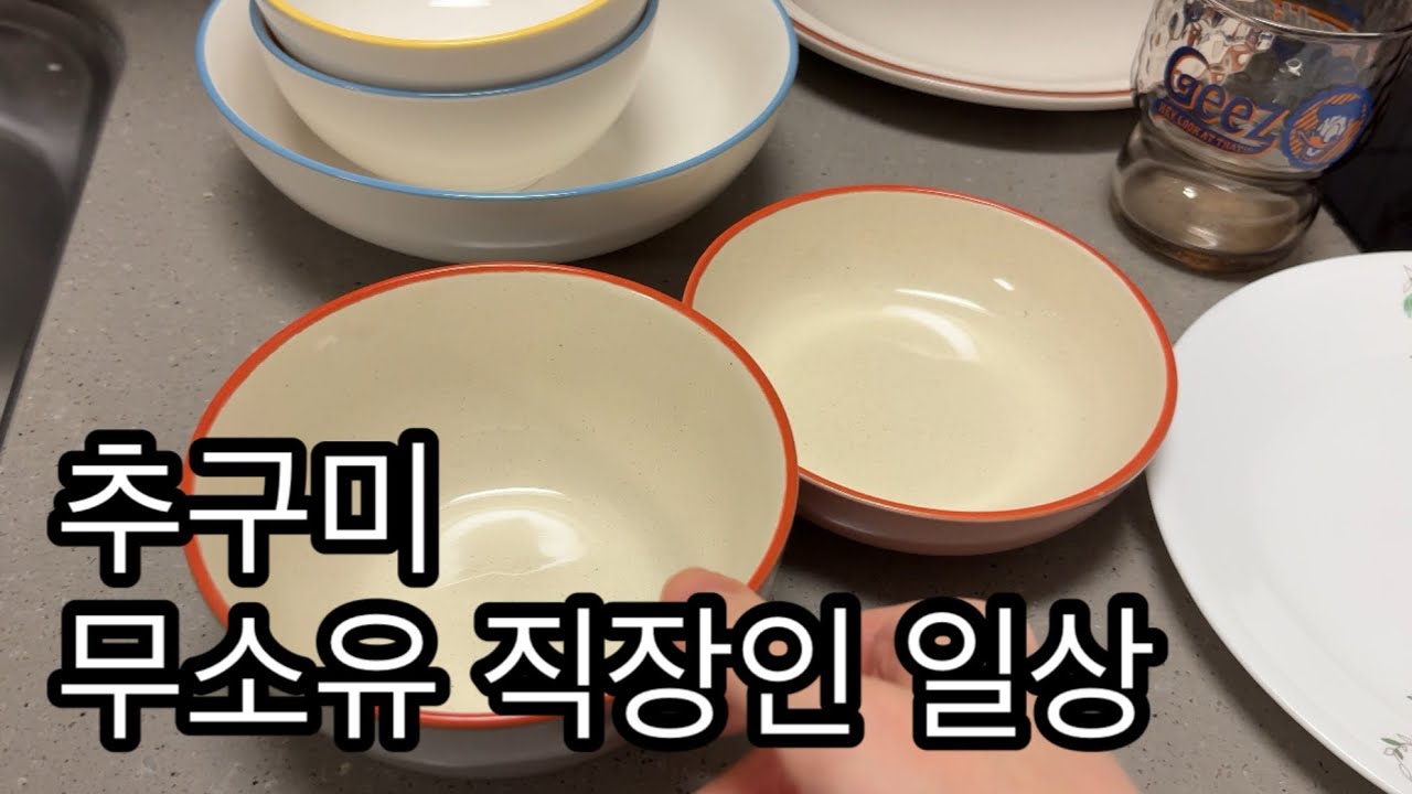 한 달 생활비 20만원 미니멀 직장인 일상(feat.아이닉 무선청소기)