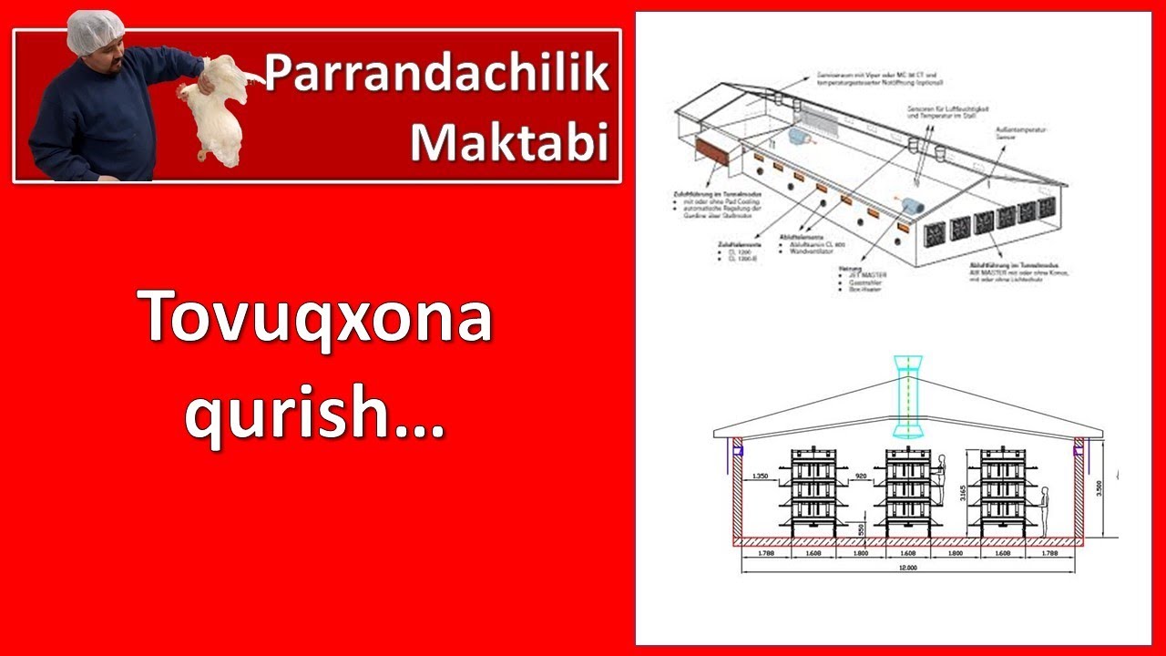 13-Qism. Tovuqxona qurish rejasi.