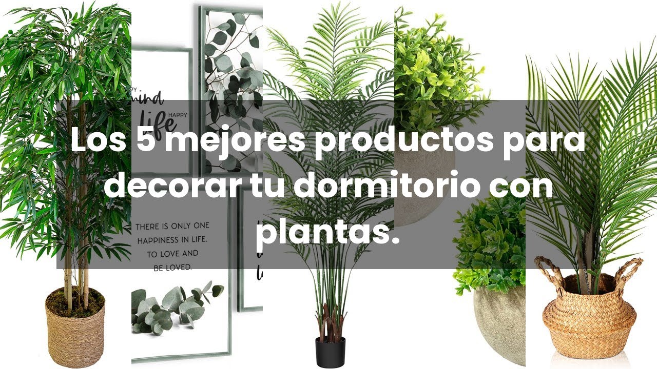Plantas para dormitorio: Los 5 mejores productos para decorar tu dormitorio con plantas.