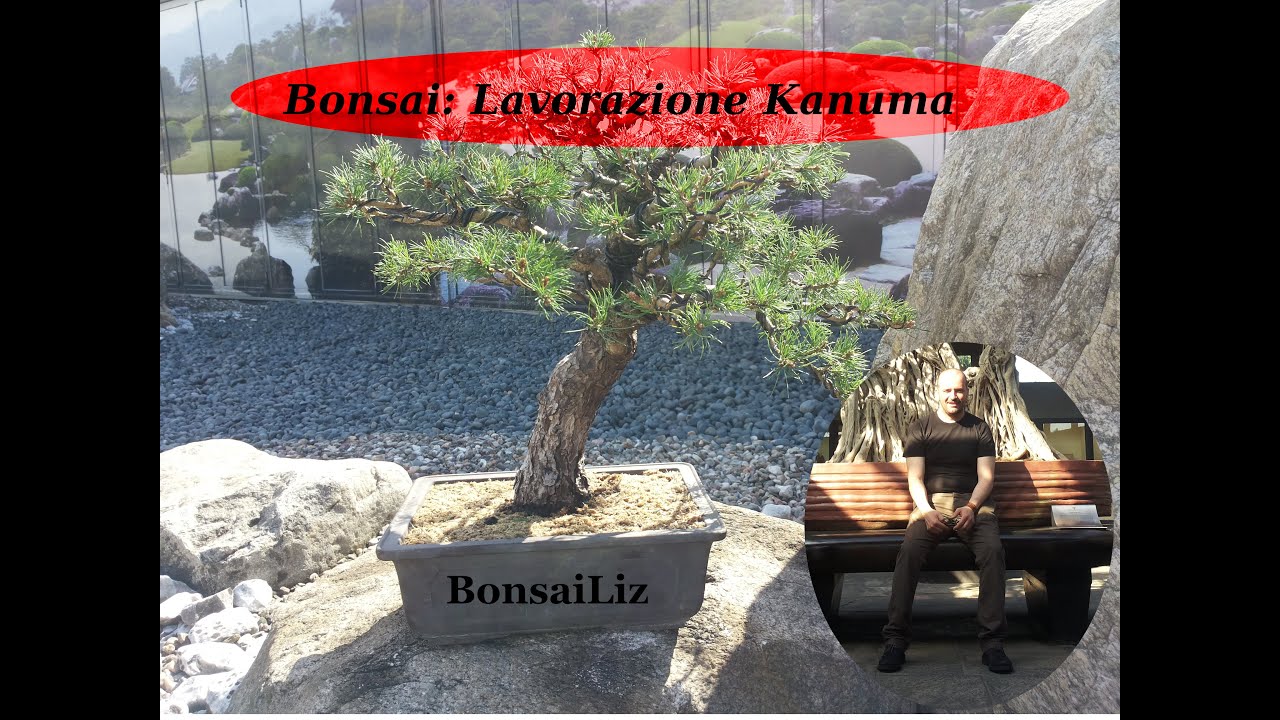 Bonsai: Lavorazione Kanuma