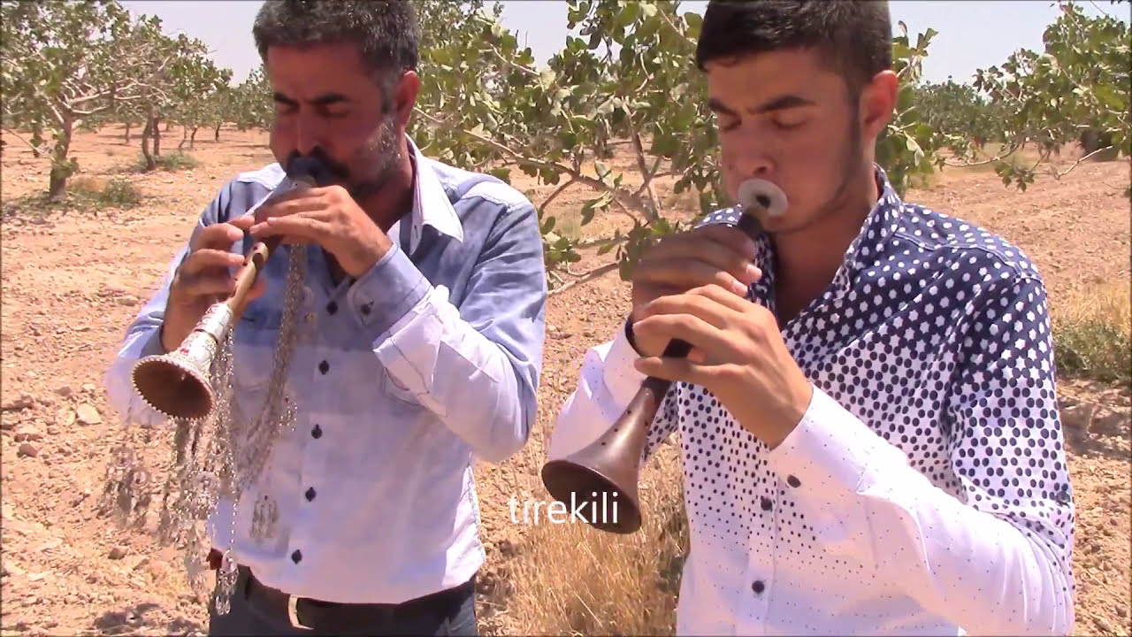 Barak Havası - Haco Gelin