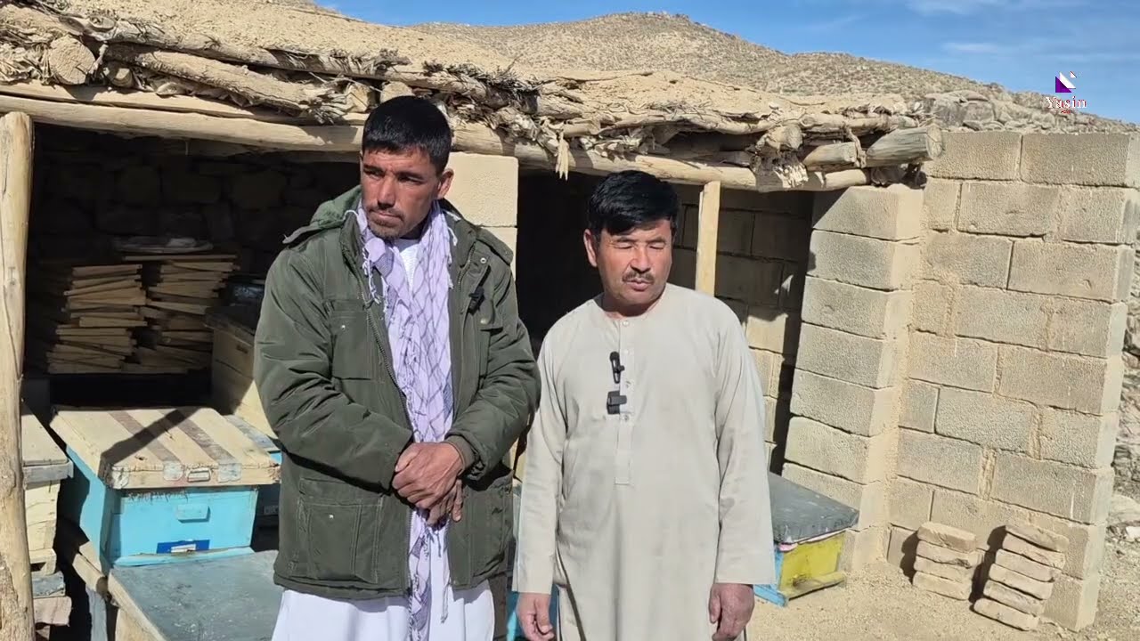 ۲۳ جنوری ۲۰۲۶
