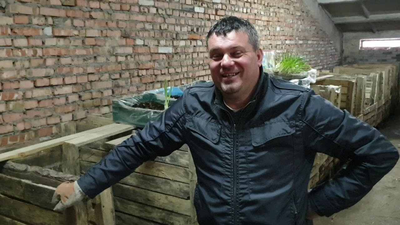 Як на черв'яках примножити інвестиції в 10 раз, здає 
