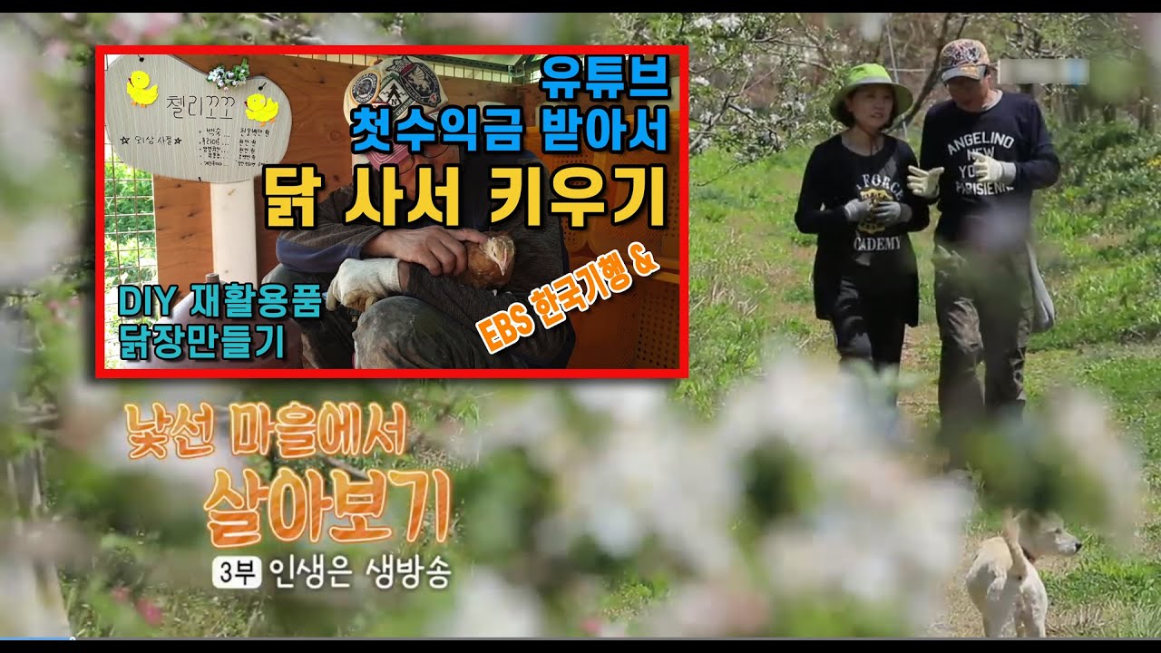 EBS #한국기행 병행 촬영  DIY 재활용 닭장만들기 유튜브 첫 수입으로 한일은 ? Chicken house making