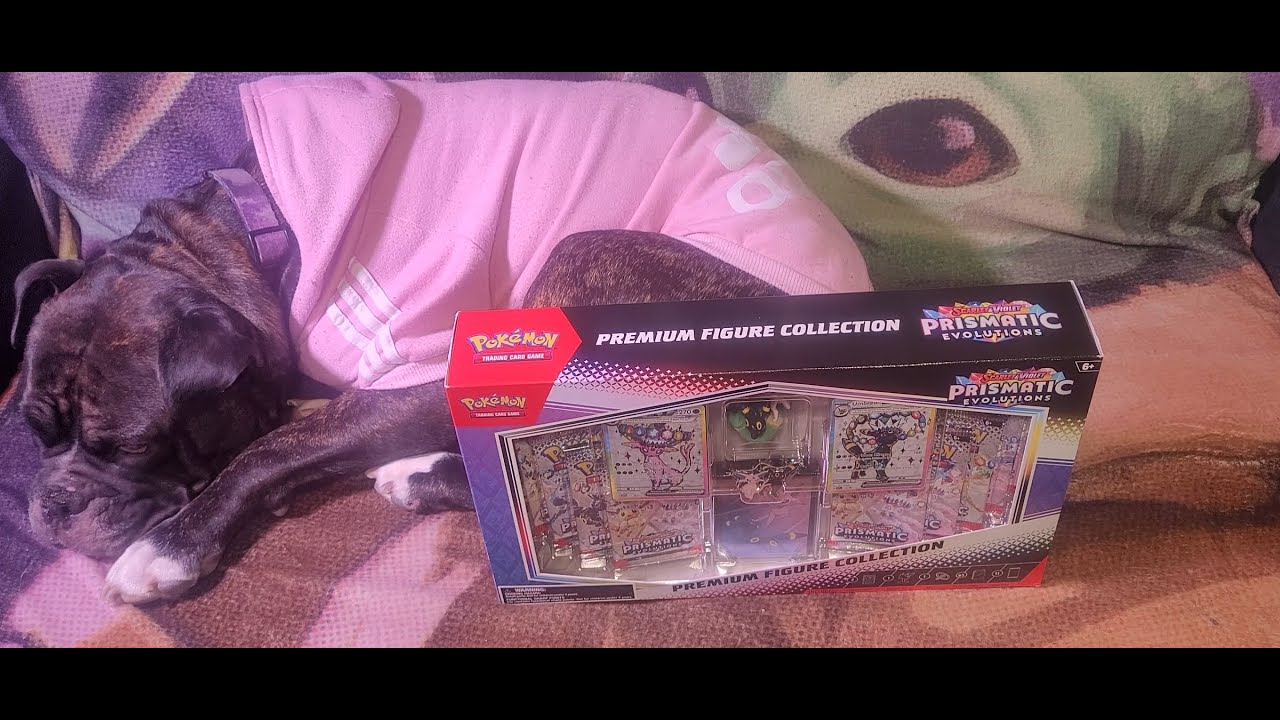 Leia présente Dead Face et Lady Mimikyu Prismattic Evolution Premium Figure Collectio