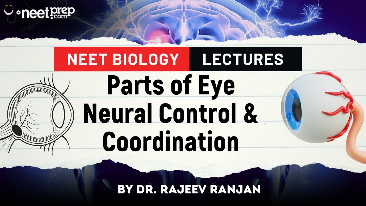 Parts of Eye (Neural Control & Coordination) Dr. Ranjan | NEET | Video Lectures