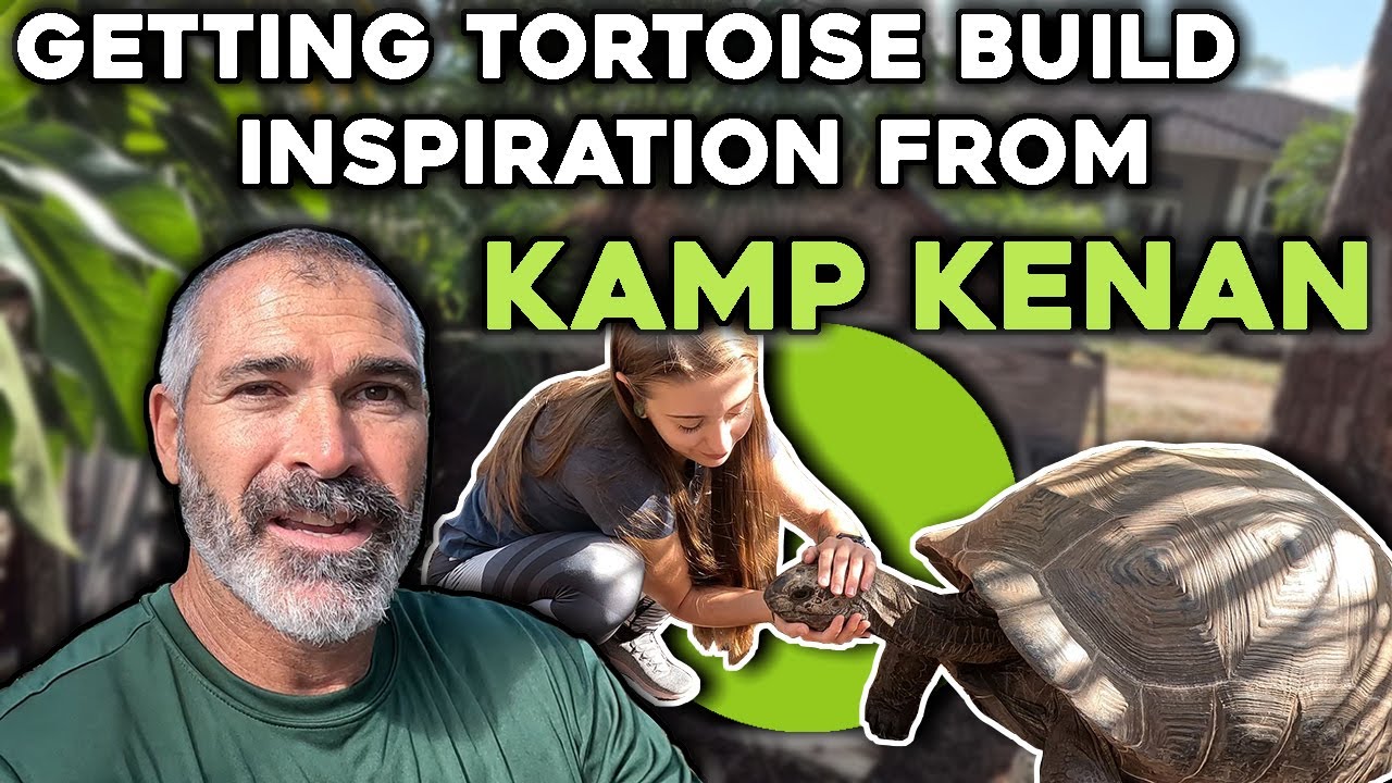 Can We Build A Tortoise House Like Kenan?!