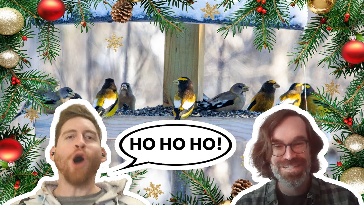 Merry Christmas Bird Count 🎄🐦 - Winging It with Frank and Sammy (Episode 7)