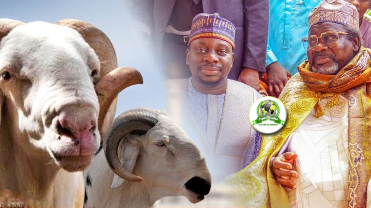 Tabaski 2021: Imam Cheikh Cissé offre des moutons aux familles