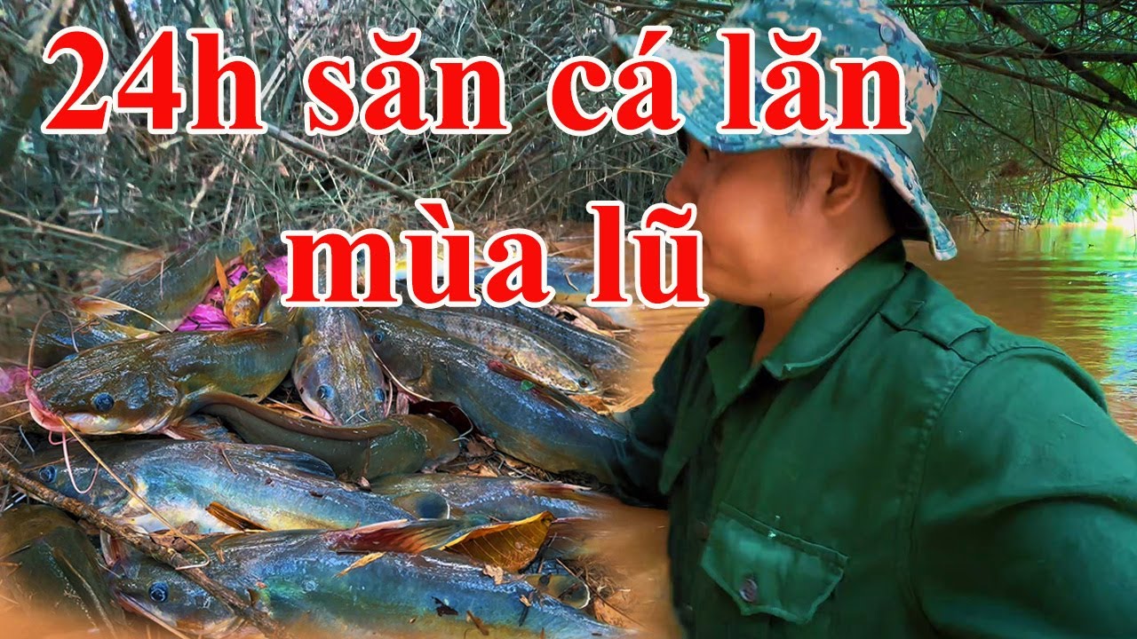 Không thể ngờ dòng nước lũ từ vùng biên giới cá lại nhiều đến vậy