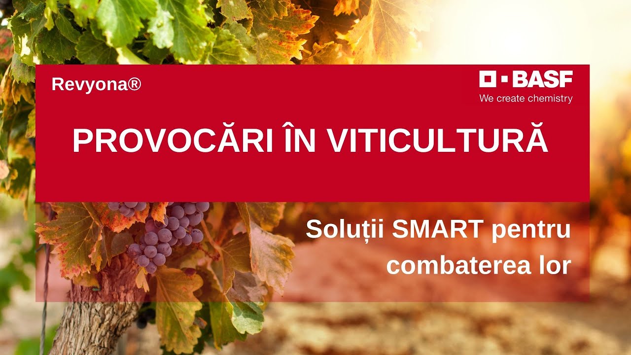 Viticultura in Romania: Probleme & Solutii Moderne si Inteligente