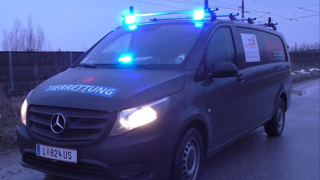 (Upgedatete Version) Einsatzfahrzeug Tierhilfe Gusental