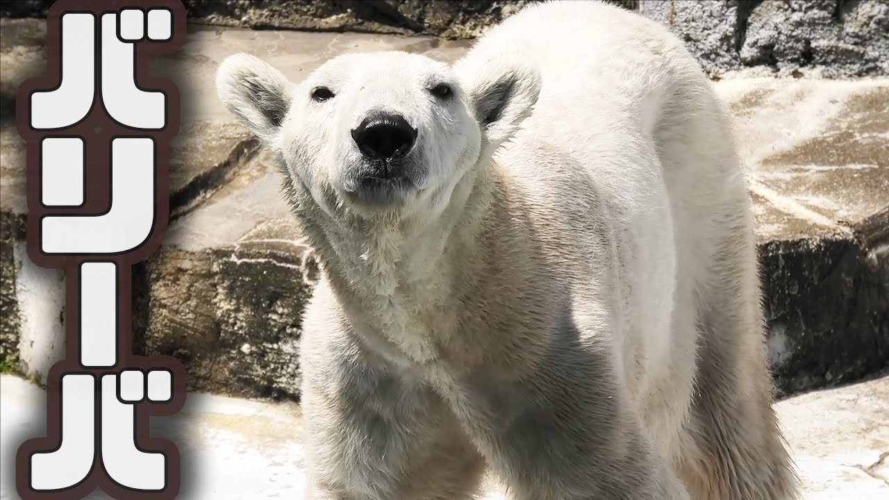 人間観察が趣味ですが、何か？