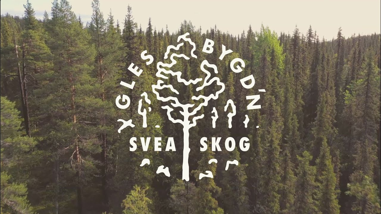 Glesbygd'n - Sveaskog
