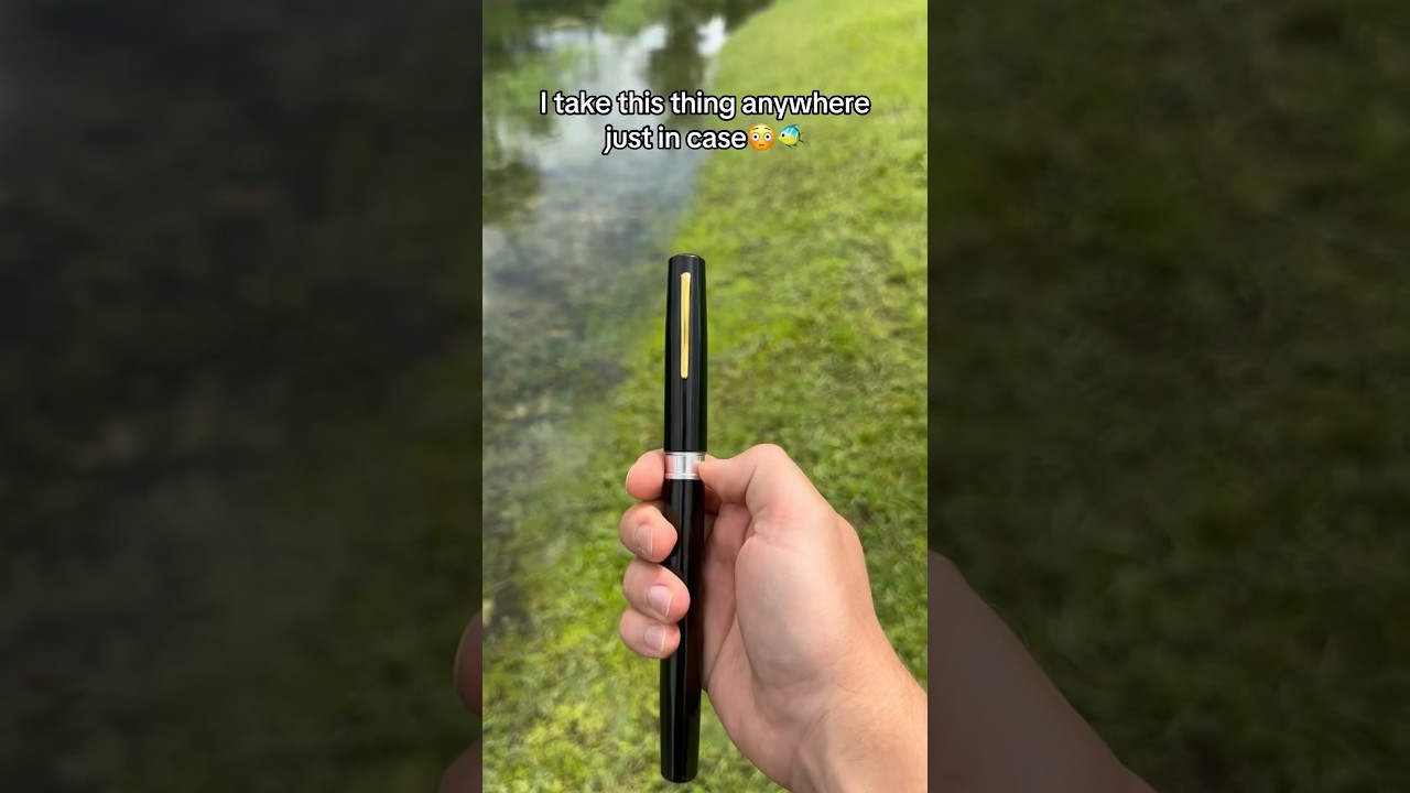 The Pen Fishing Rod🤩🐠