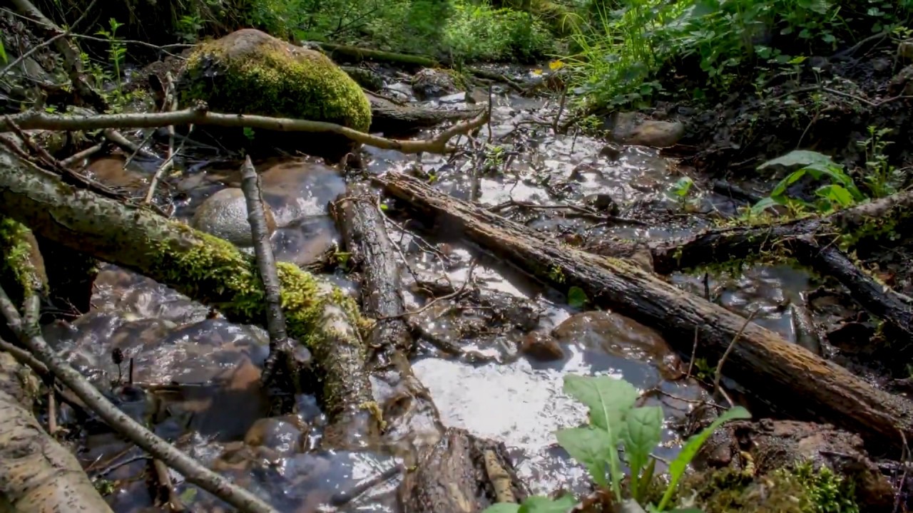ŹRÓDŁA - muz.sł. Małgosia Wawruk, opr. Marcin Wawruk