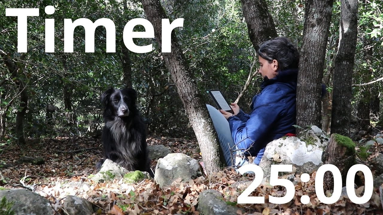 Read with me automnal, avec mon chien ! - Musiques sans paroles - #readwithme #pomodoro #coworking