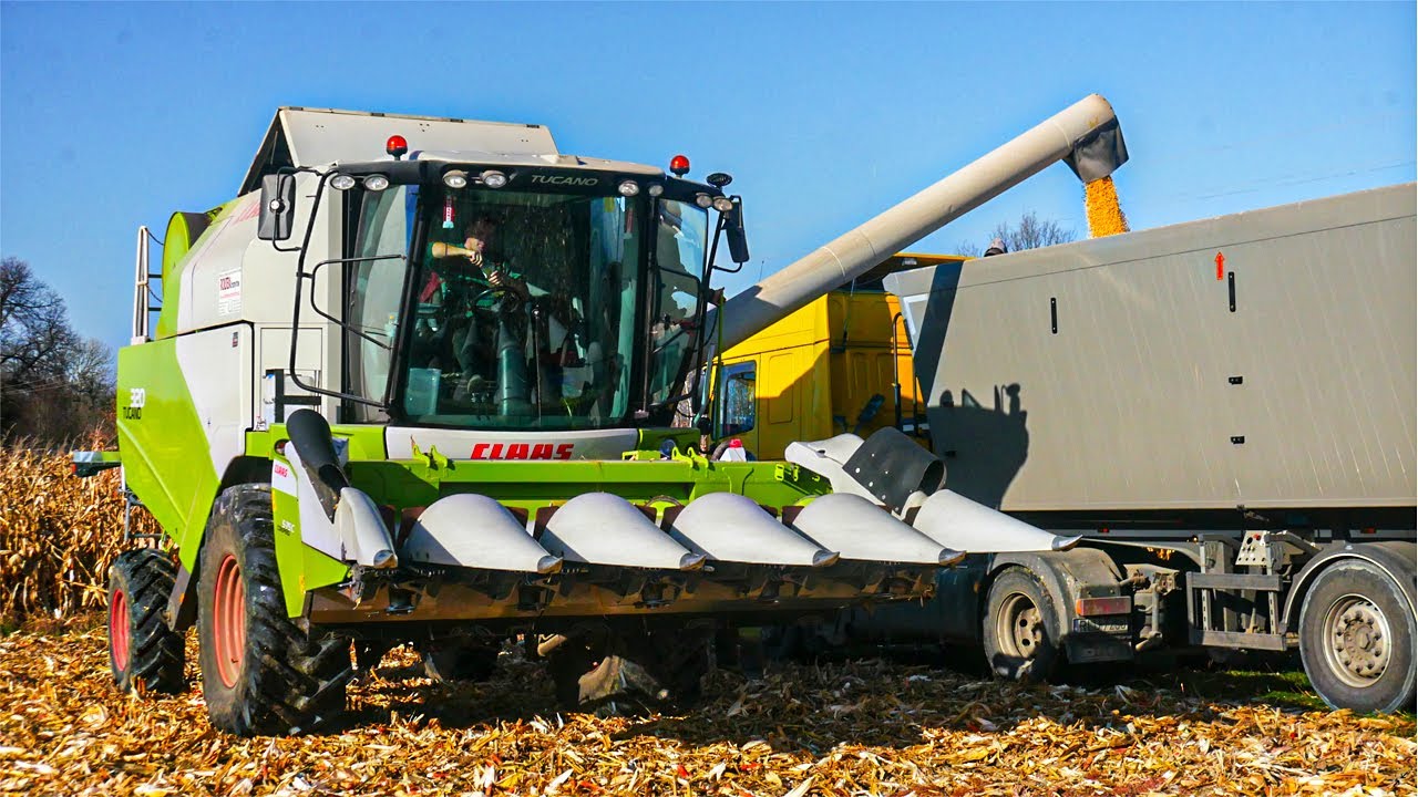 Koszenie Kukurydzy 2021 ☆ Podkarpacie ☆ Claas ☆ Fendt ☆ Daf ☆ Renault ☆ Volvo ☆ Agro Futory ☆
