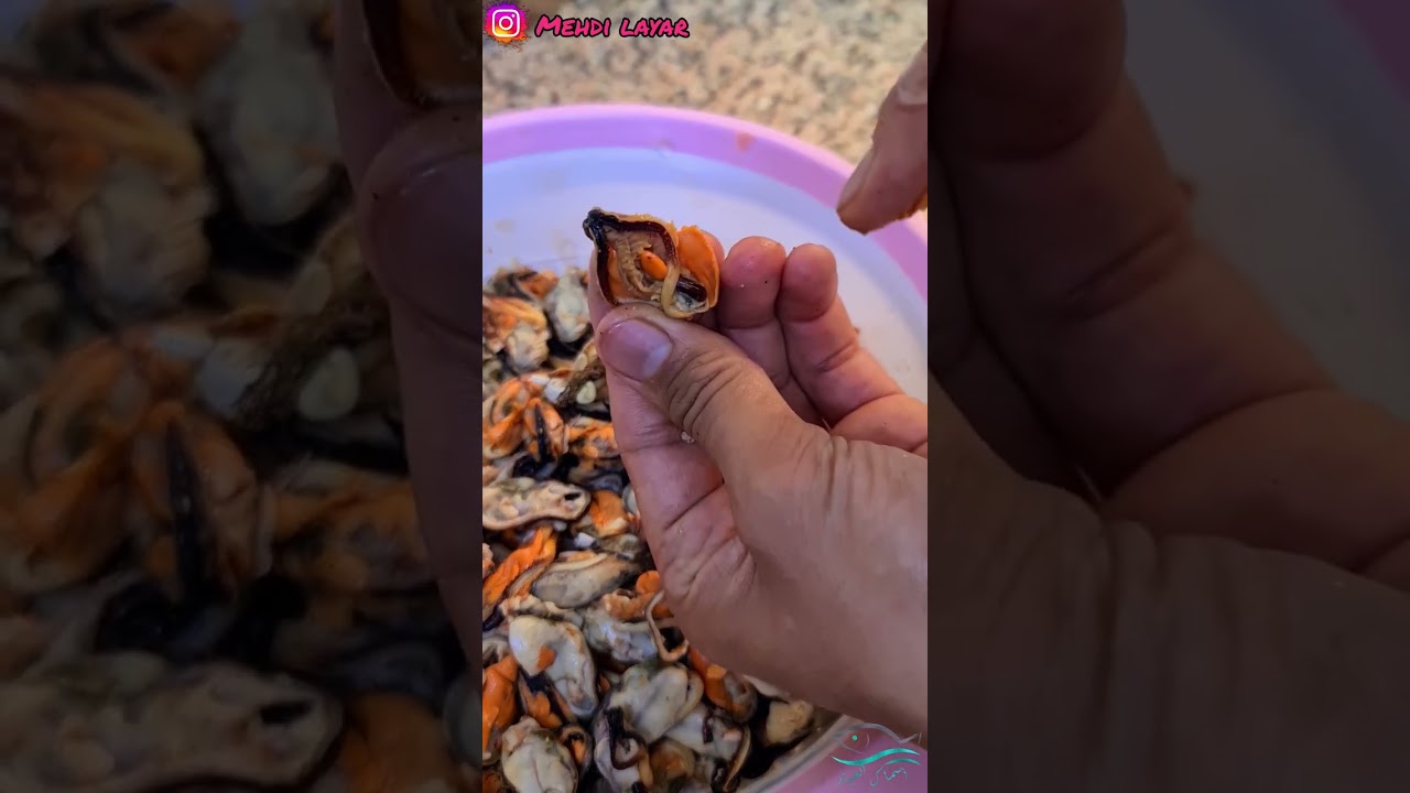 أسرار بوزروك أو بلح البحر🦪 ( mussels ) 🤔😲 مع الطريقة الصحيحة لتنظيفه 😉 غادي نجيكم من الأخر 4min🫡✅️
