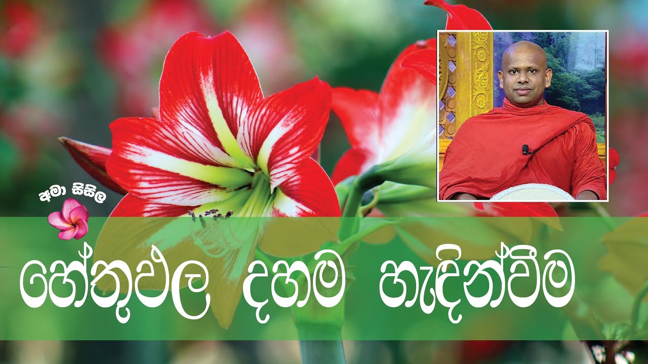 හේතුඵල දහම හැඳින්වීම - Ven. Welimada saddaseela thero