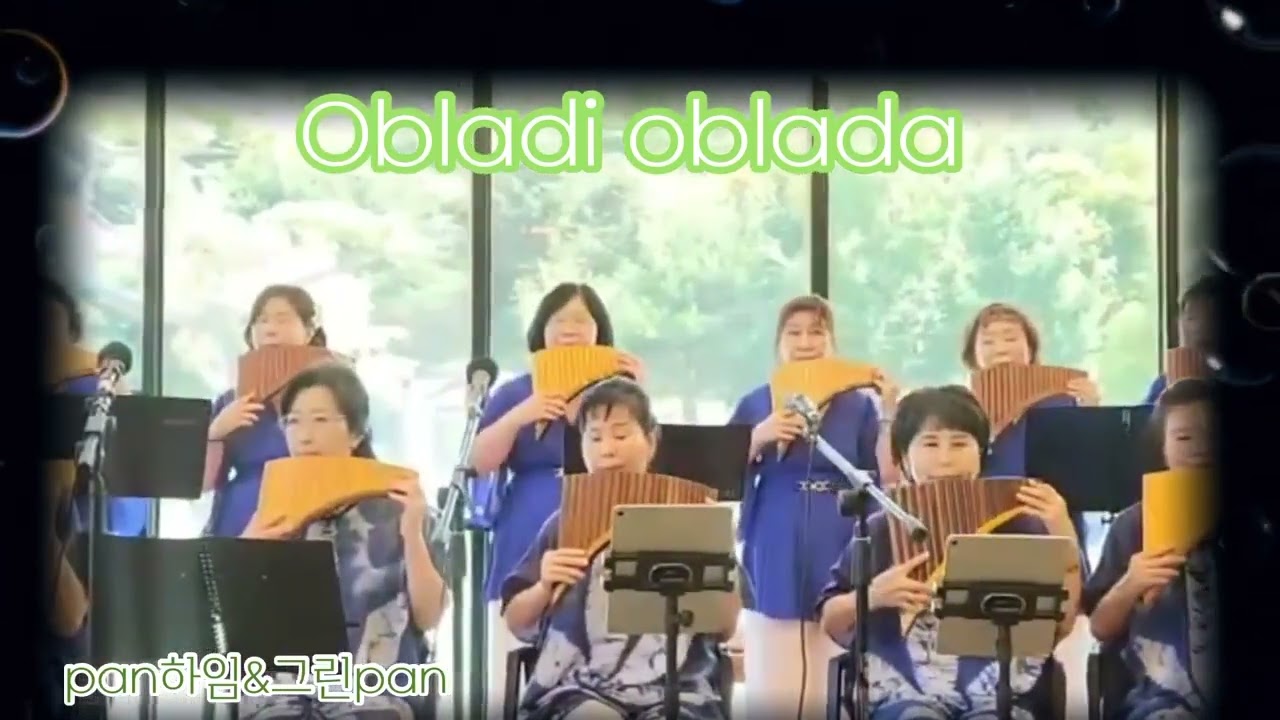 # 오블라디  오블라다 #팬플룻이춘복 