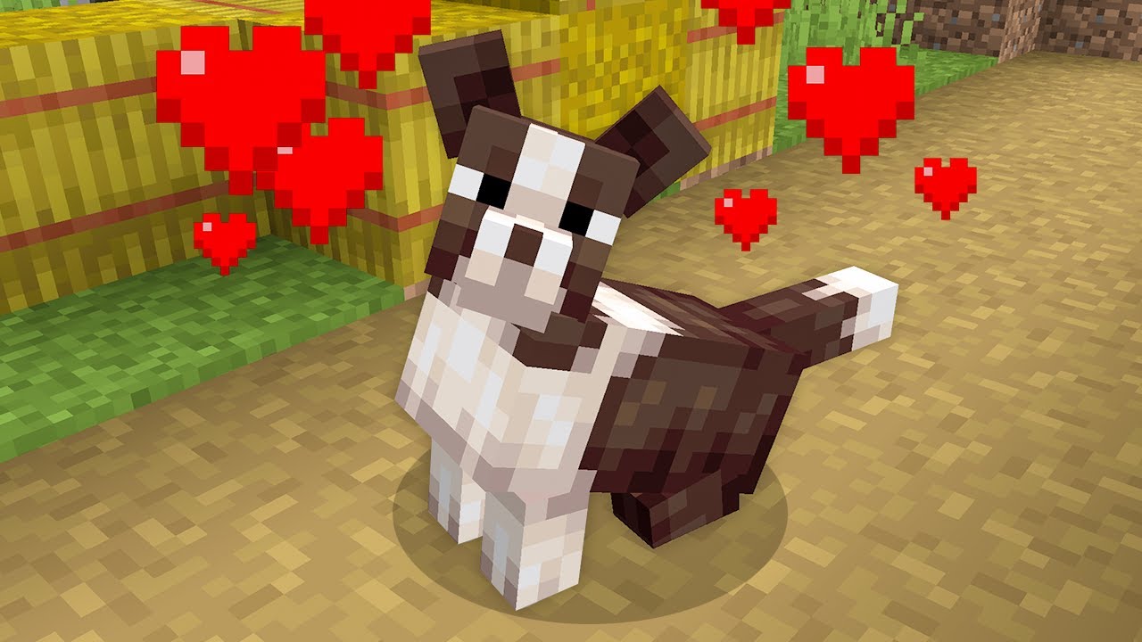 Я выпустил обновление Dogs для Minecraft...