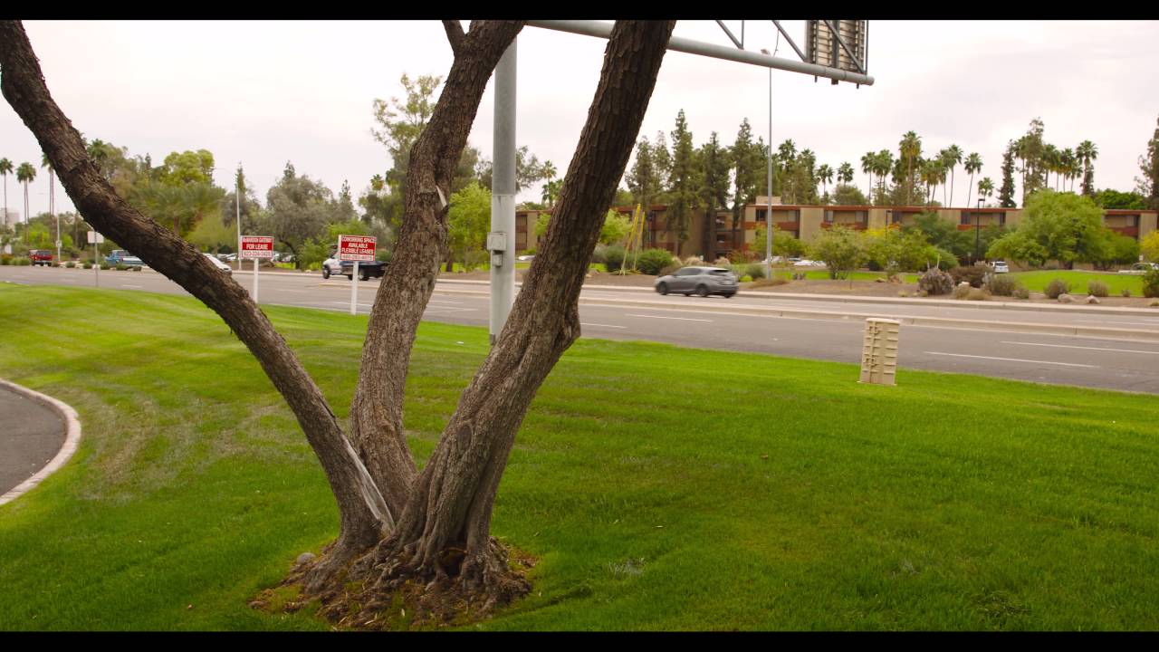 4K Test with FS700 & Odyssey 7Q+