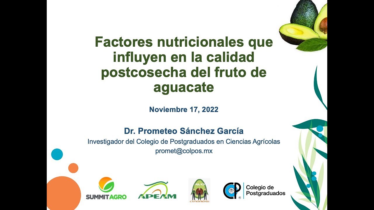 Factores Nutricionales que influyen en Calidad Postcosecha del Fruto de Aguacate/Dr Prometeo Sánchez